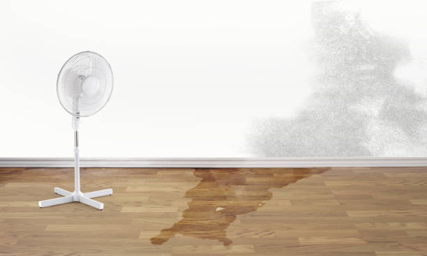 Best Fire Damage Restoration  in Mcadoo, PA