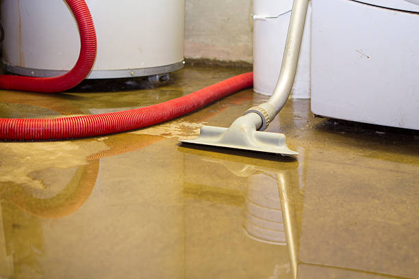 Best Water damage restoration services  in Mcadoo, PA