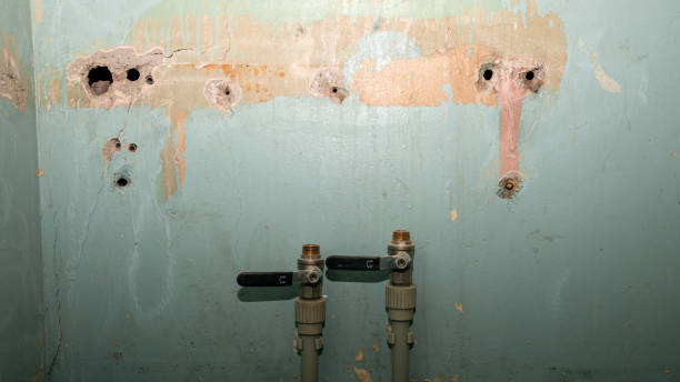 Best Water damage contractors near me  in Mcadoo, PA