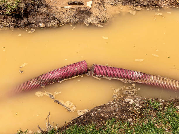 Best Local water damage restoration  in Mcadoo, PA